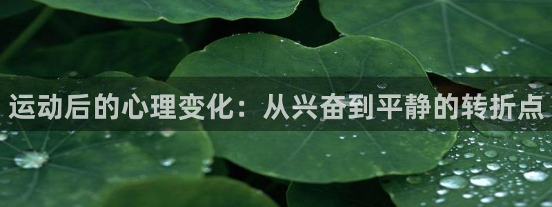 678体育知识